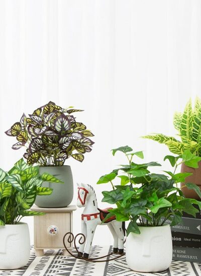 Face Cement Plant Pot