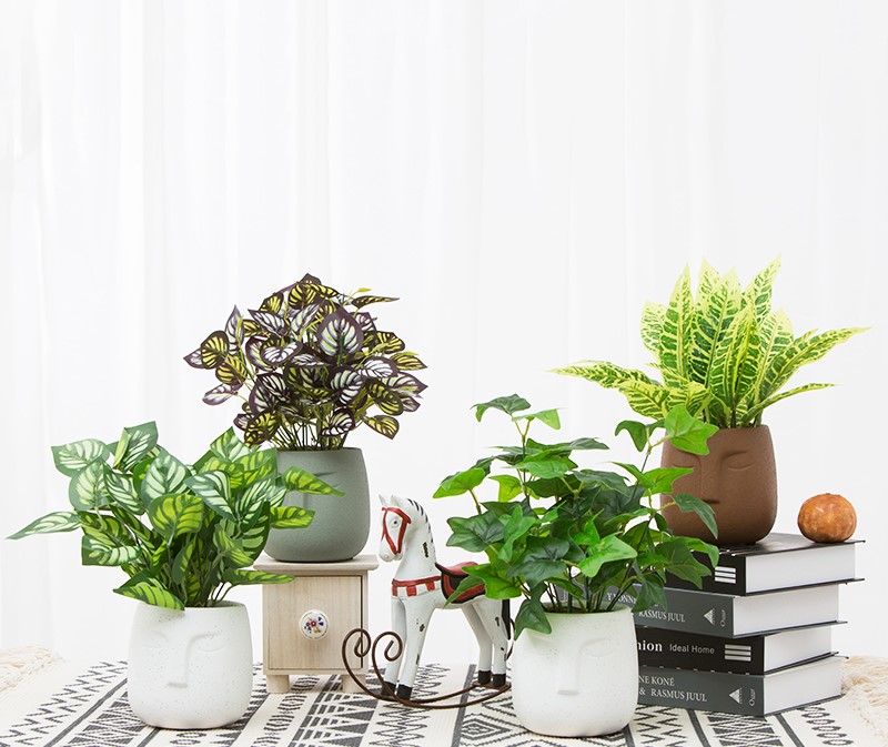 Face Cement Plant Pot