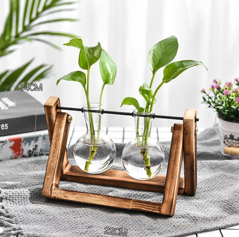 Hydroponic Nordic Plant Glass Vase with Wooden Legs