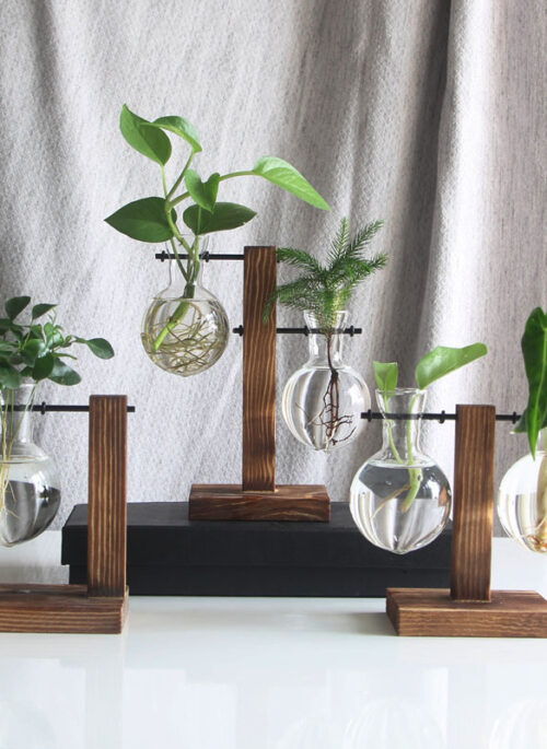 Hydroponic Plant Glass Vase with Wooden Base