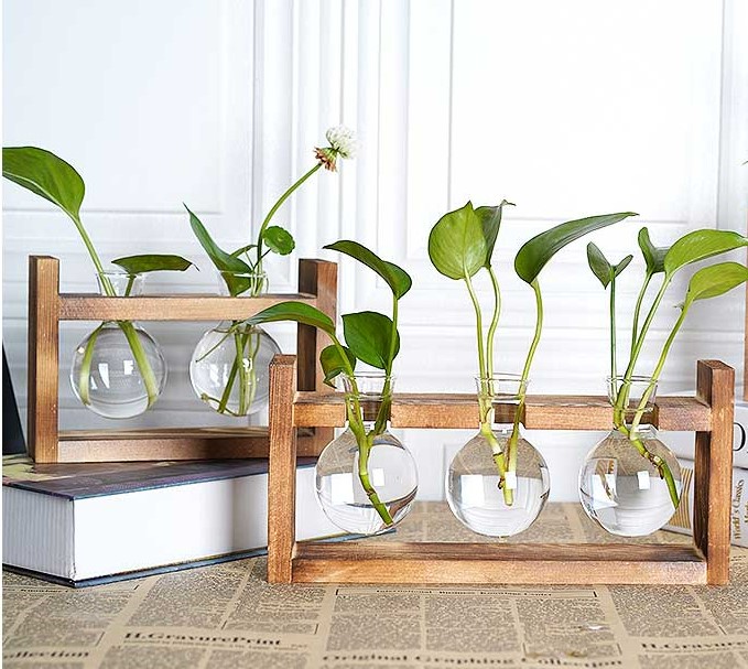 Ontslag lila Haiku Horizontal Style Hydroponic Plant Glass Vase with Wooden Legs | Aesthetic  Decor Shop