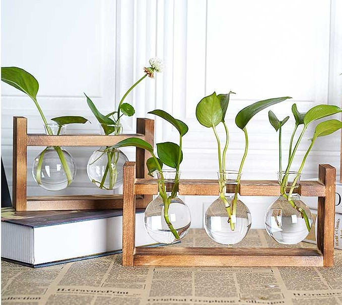 Horizontal Style Hydroponic Plant Glass Vase with Wooden Legs