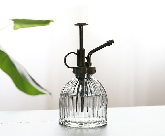 Pumpkin Glass Plant Spray Bottle