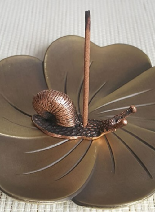 Small Copper Snail