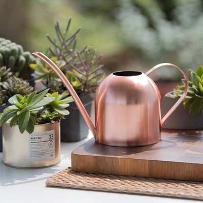 Rose Gold Watering Kettle