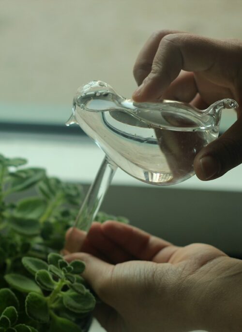 Glass Animals Automatic Watering Dripper Device