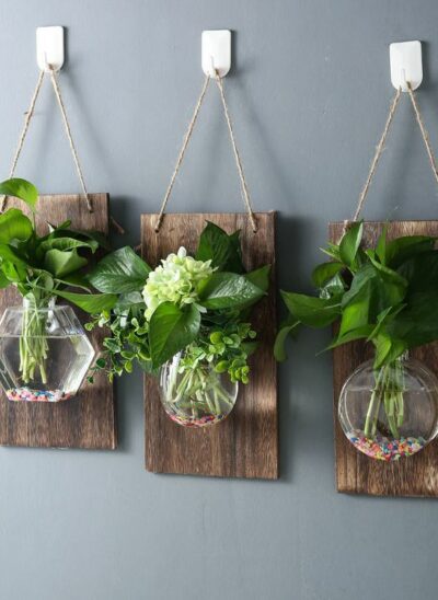 Hanging Hydroponic Vase on Wood Board