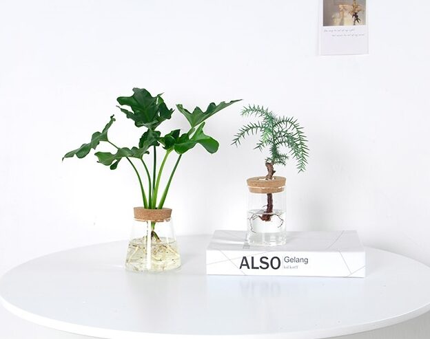 Small Glass Hydroponic Bottle Vase with Cork Lid