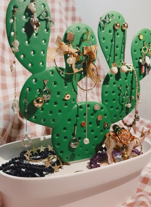 Plastic Cactus Jewelry Holder and Storage