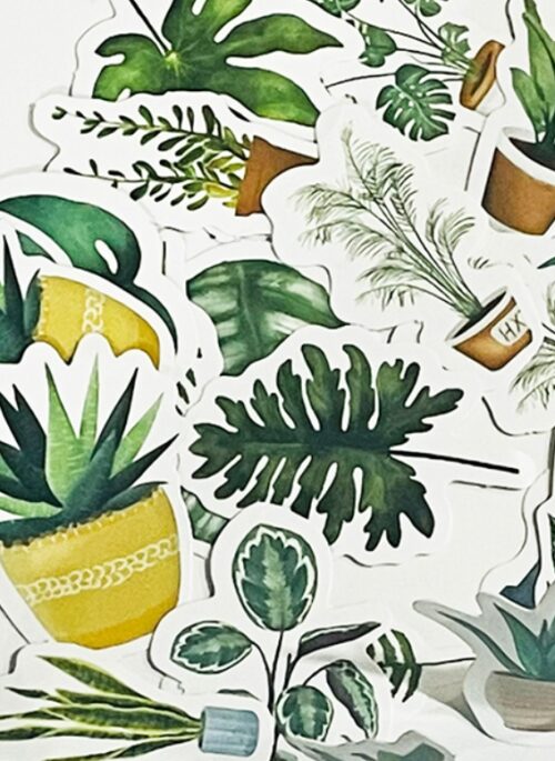 Tropical Plants Sticker